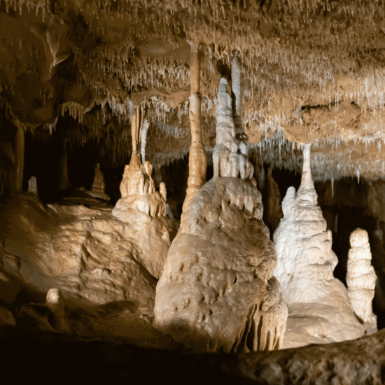 Jaskinia Balcarka formy naciekowe